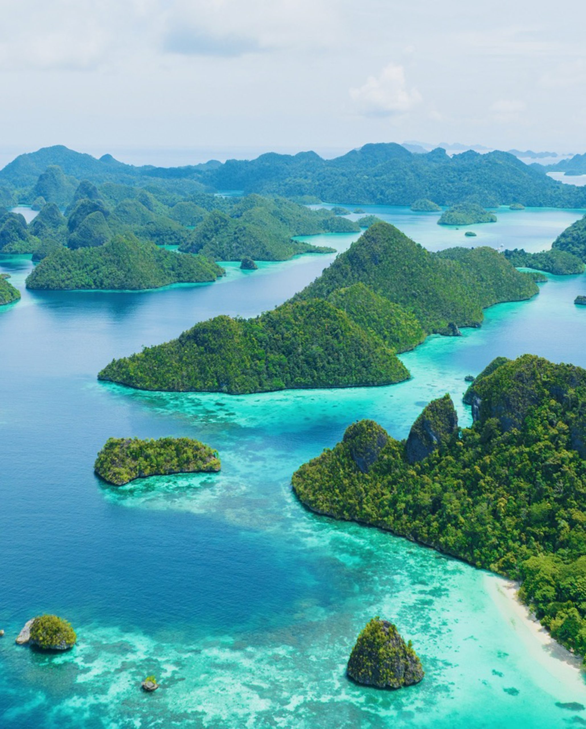 Papua Tribe Expedition