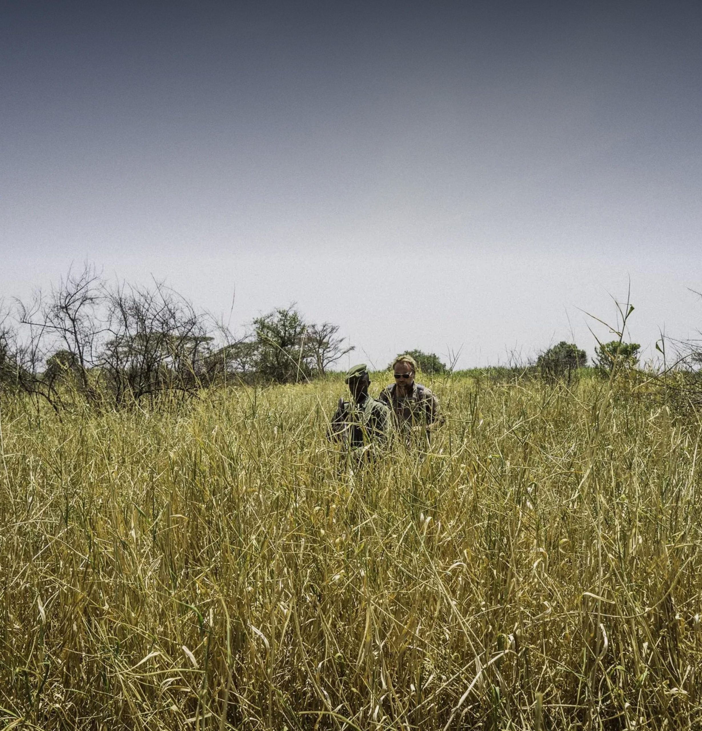 Hike Across the Serengeti